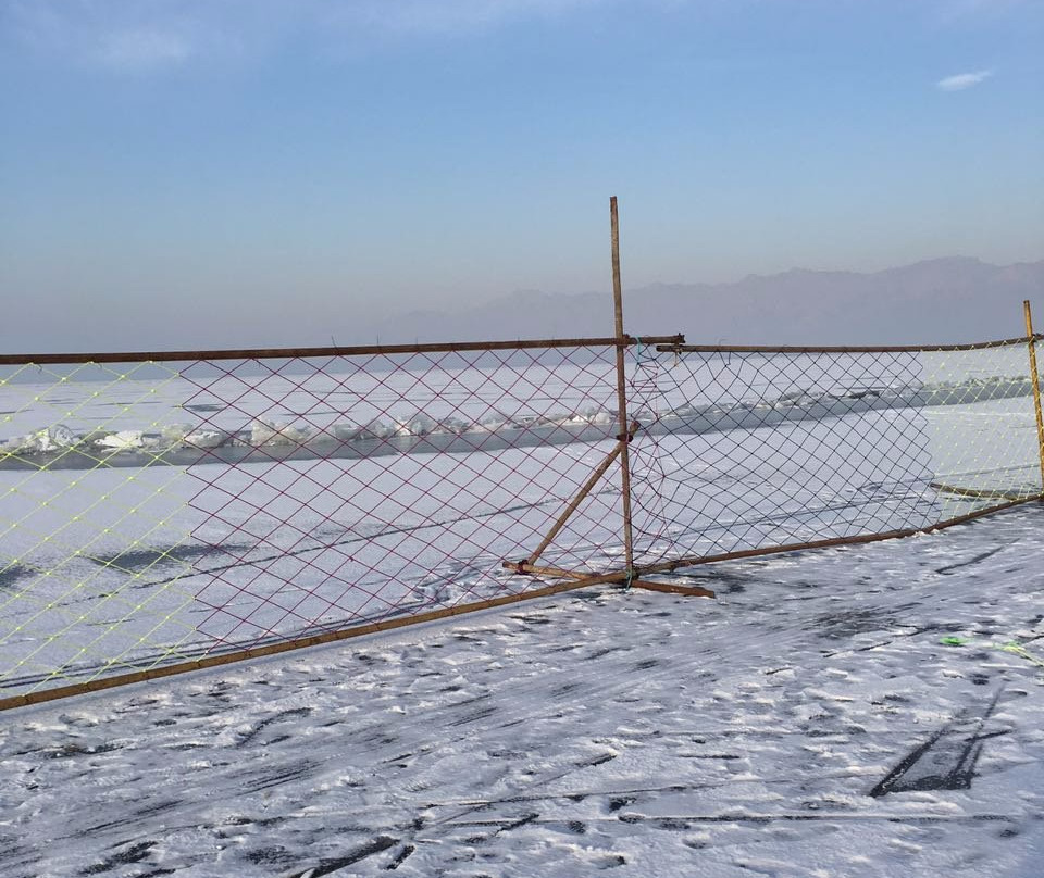 哈素海-土默特左旗必去景点