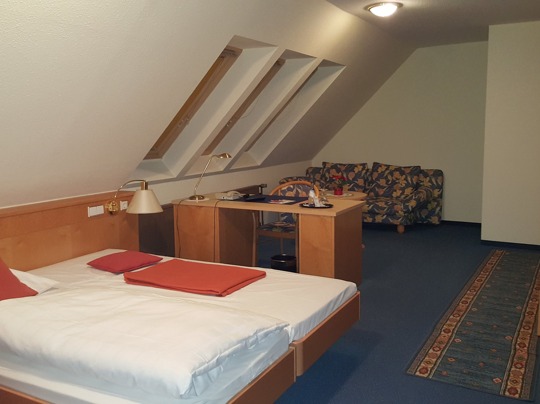 Hotel Schumacher主图