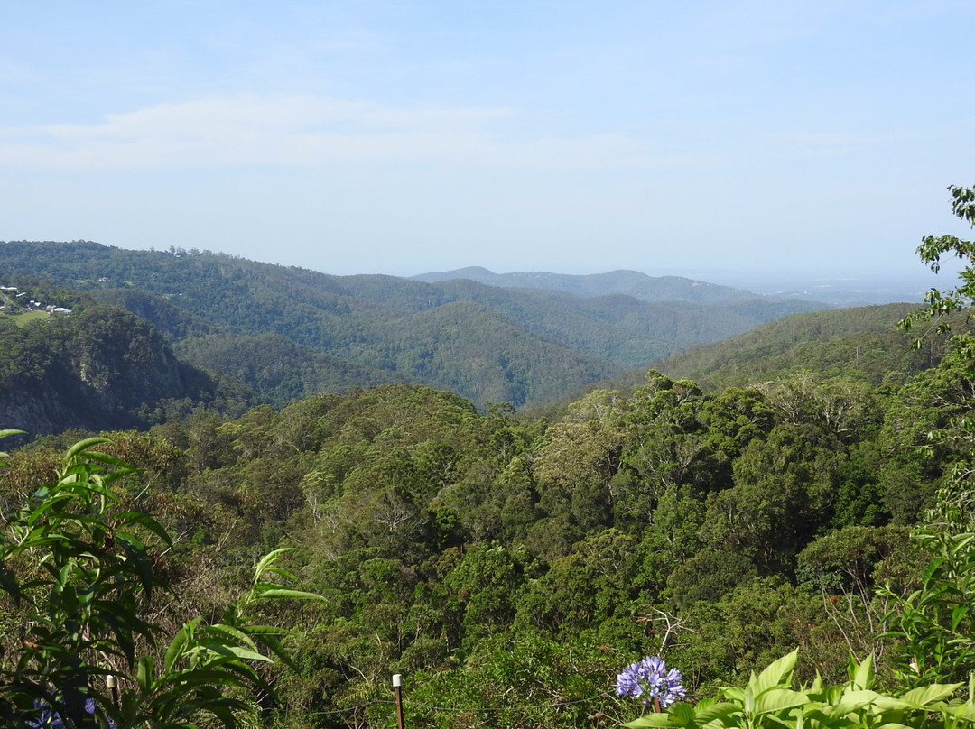 Mount Tamborine旅游攻略图片