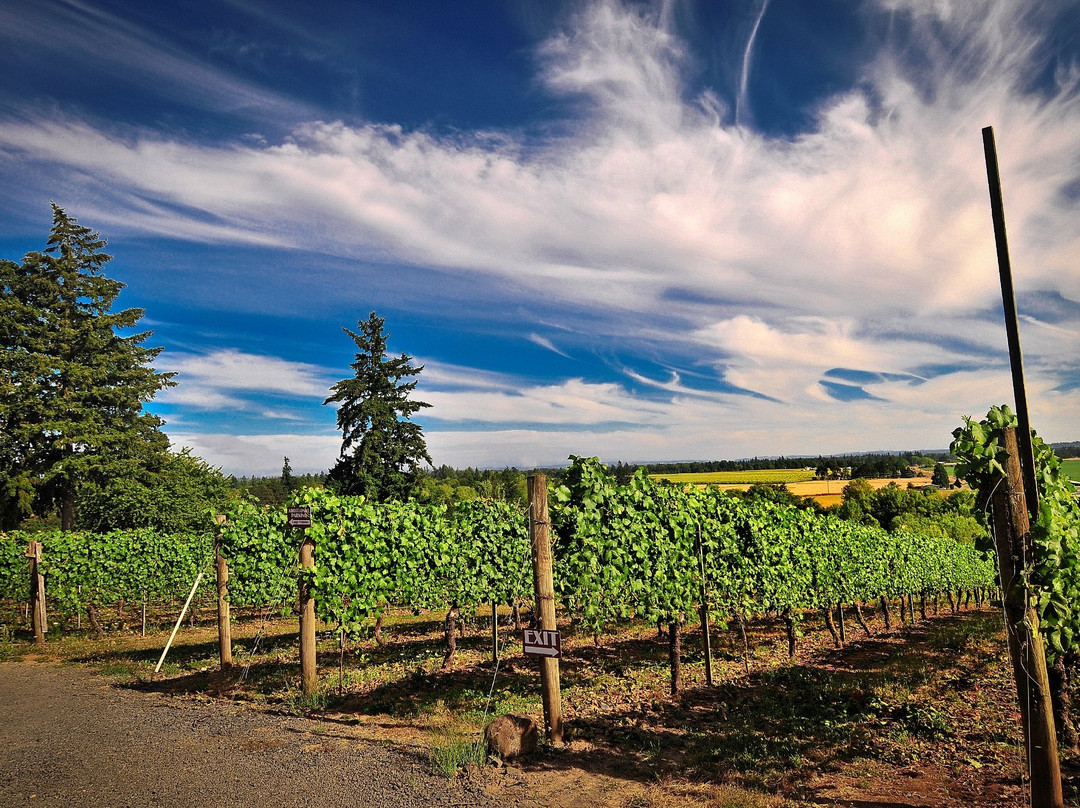 Stangeland Vineyards-塞勒姆必去景点