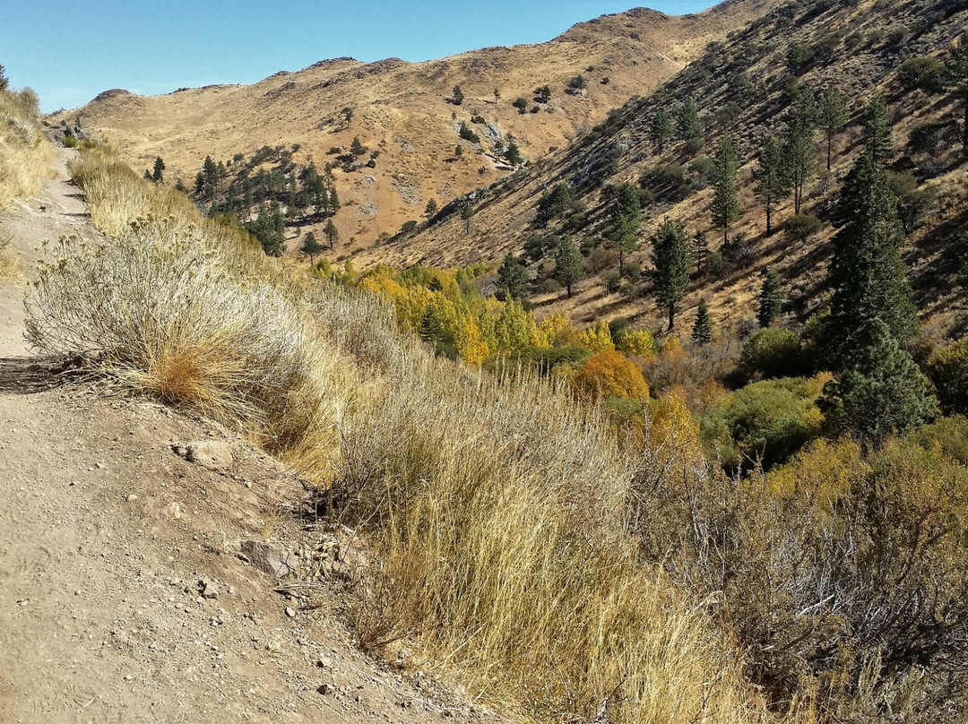 Hunter Creek Trail景点图片