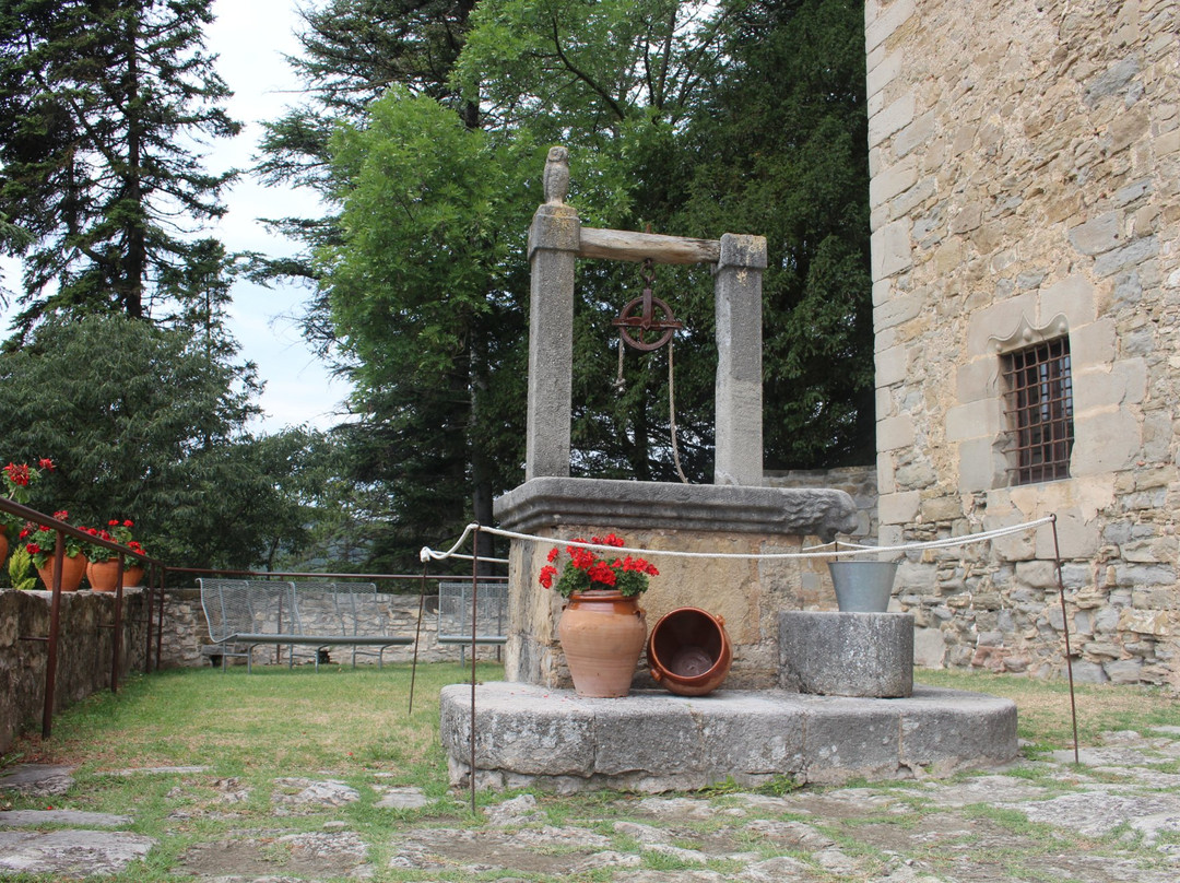 Parque Del Castillo de Montesquiu景点图片