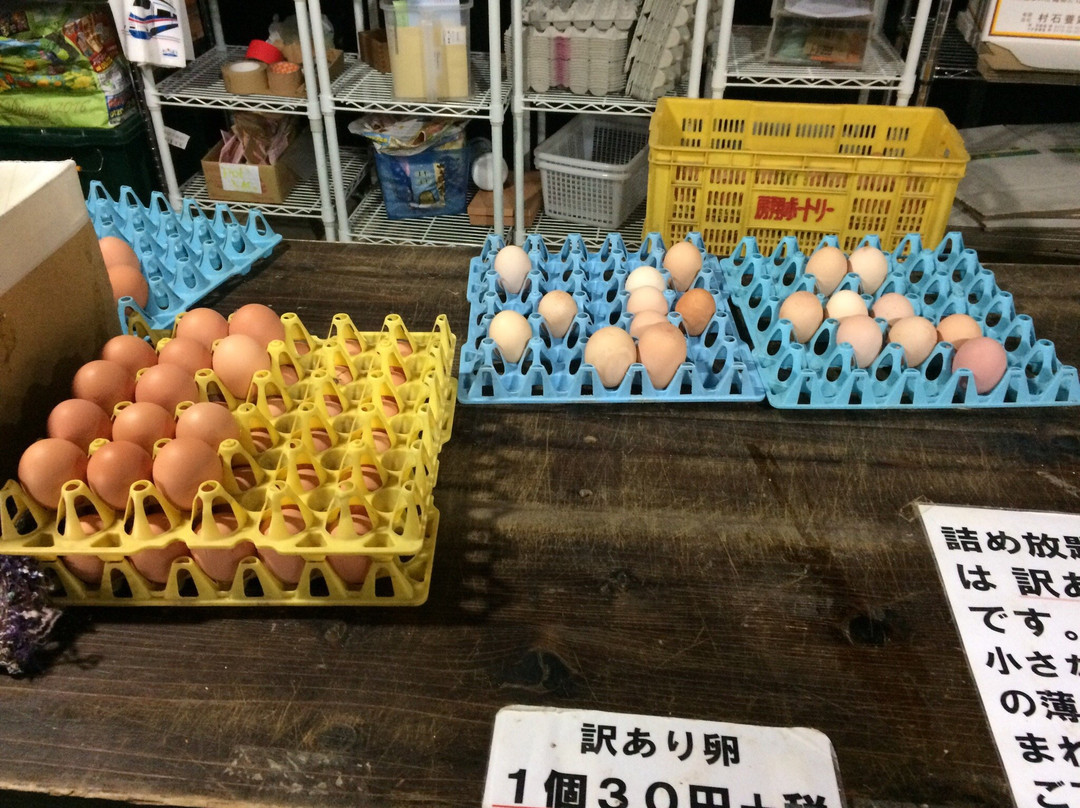 Keiran Ranch-御宿町必去景点