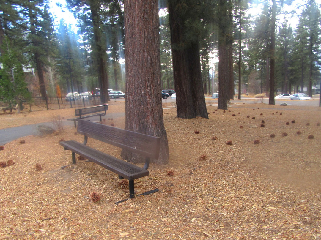 Kahle Park and Community Center-Stateline必去景点