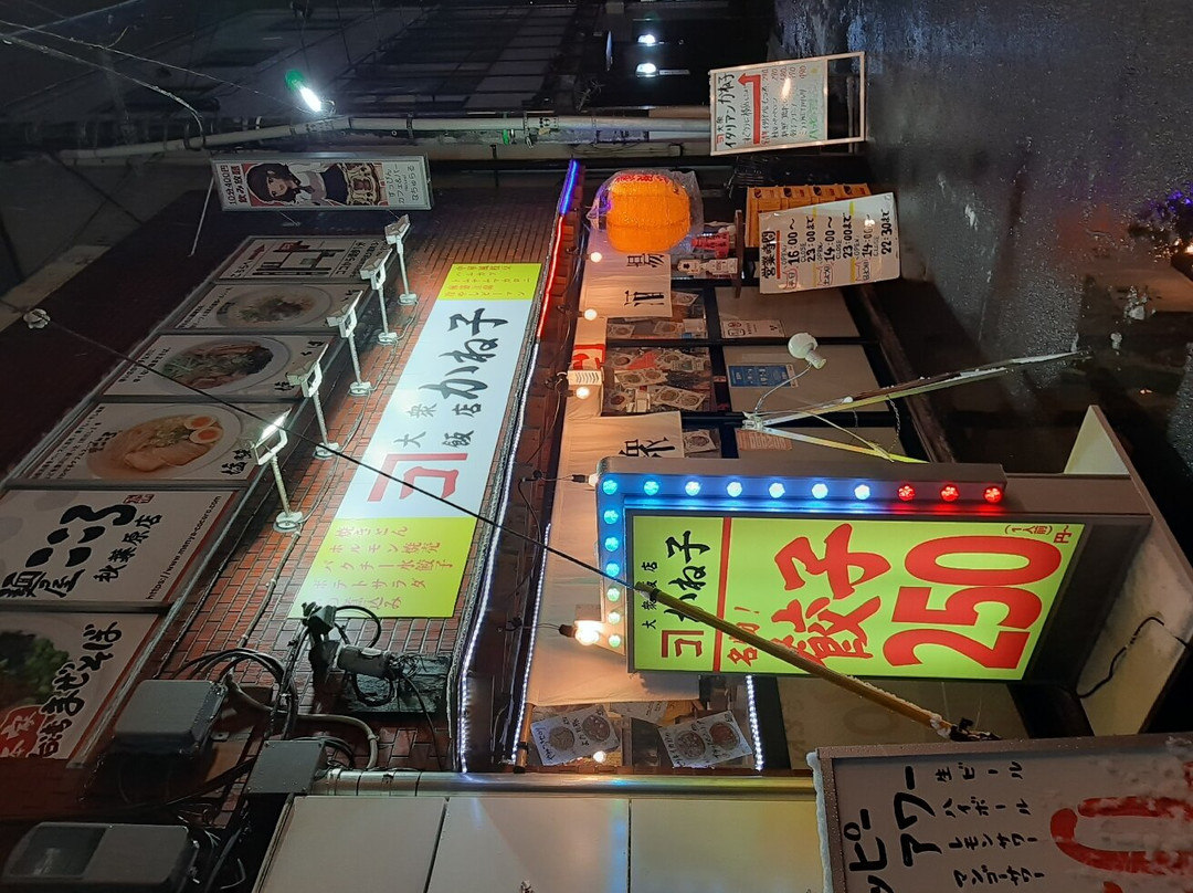大衆飯店 かね子 秋葉原店