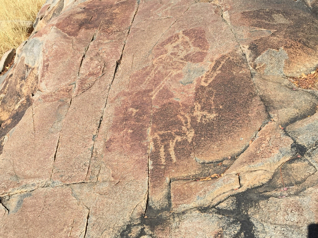 Rock Engravings at Peet Alberts Koppie-Kamanjab必去景点