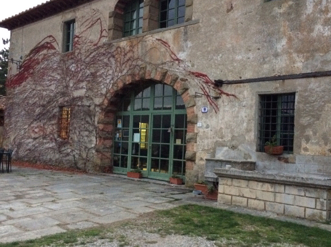 Agriturismo Fattoria di Petrognano主图