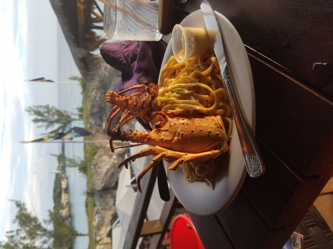 Ricky Tours Jamaica-Lucea必去景点