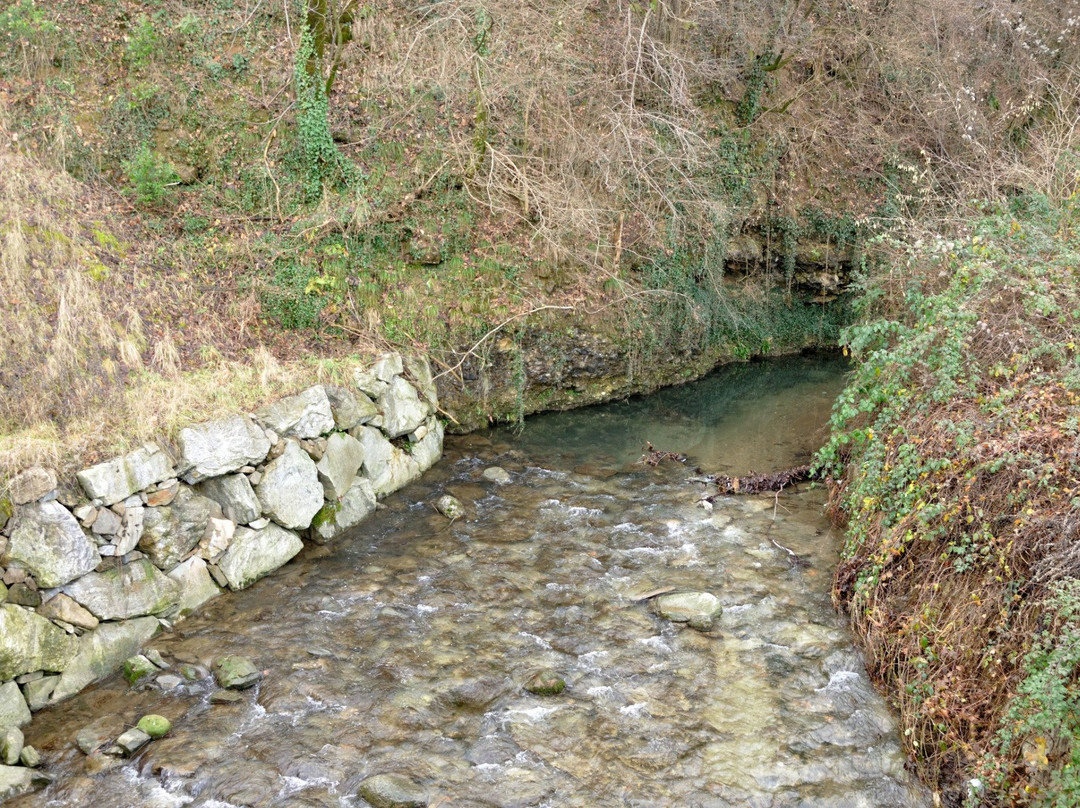 Parco del Molgora-维梅尔卡泰必去景点