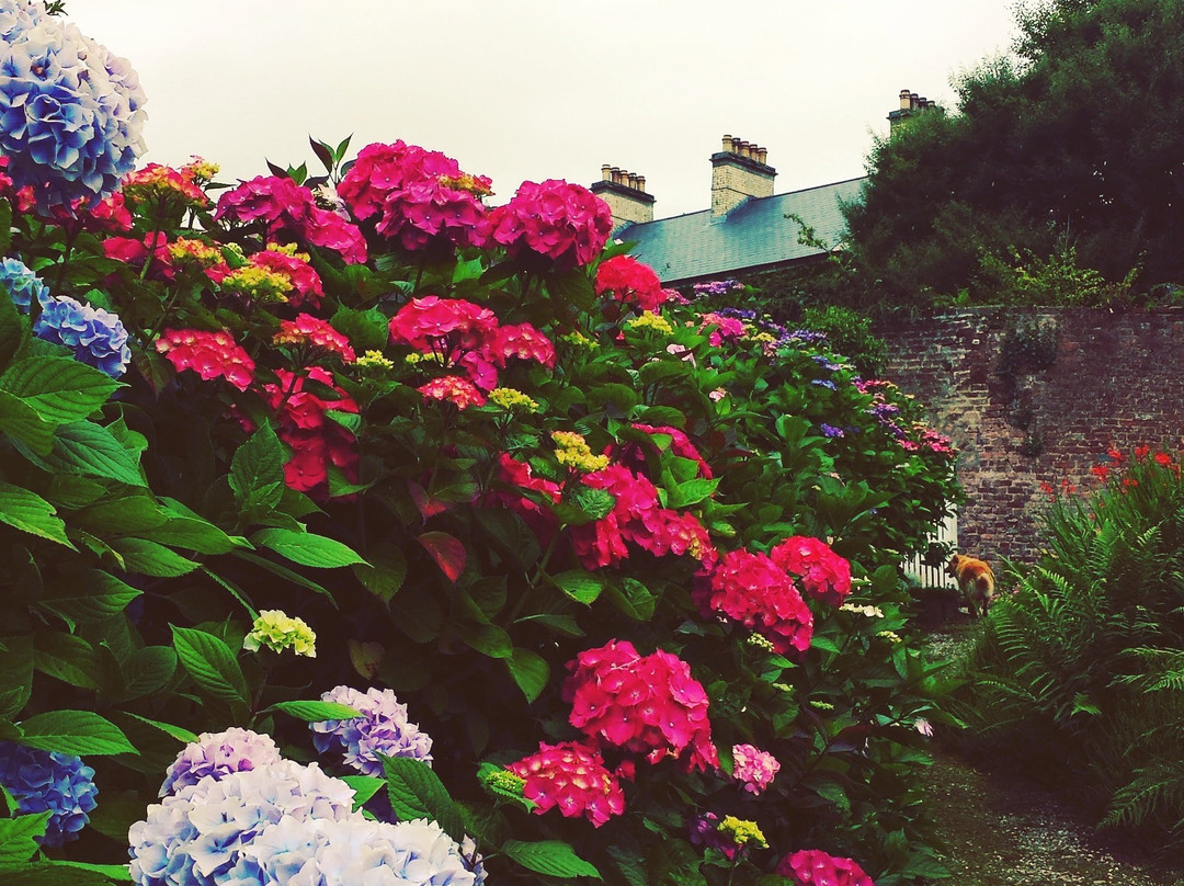 Dunmore Gardens