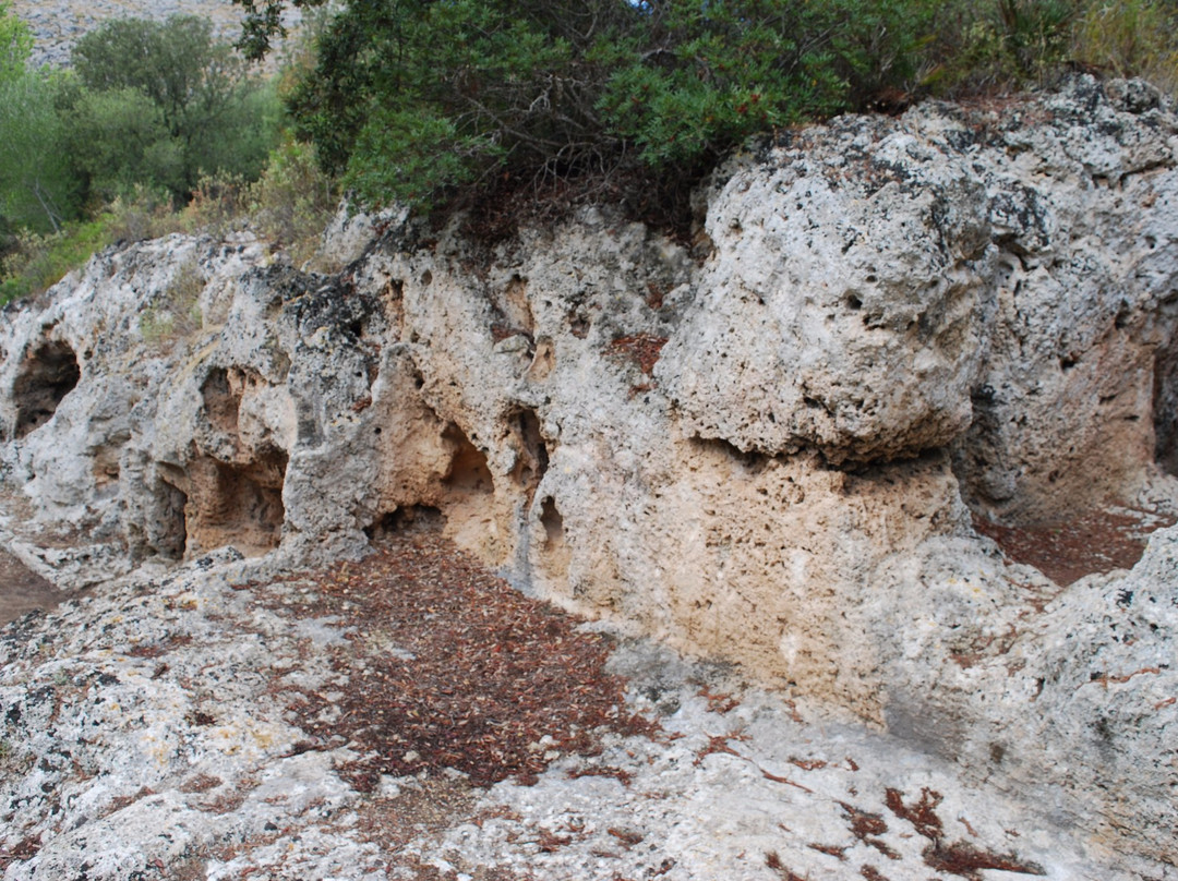 Cuevas de l'Alzinaret