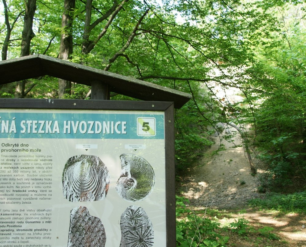 Hvozdnice Trail景点图片