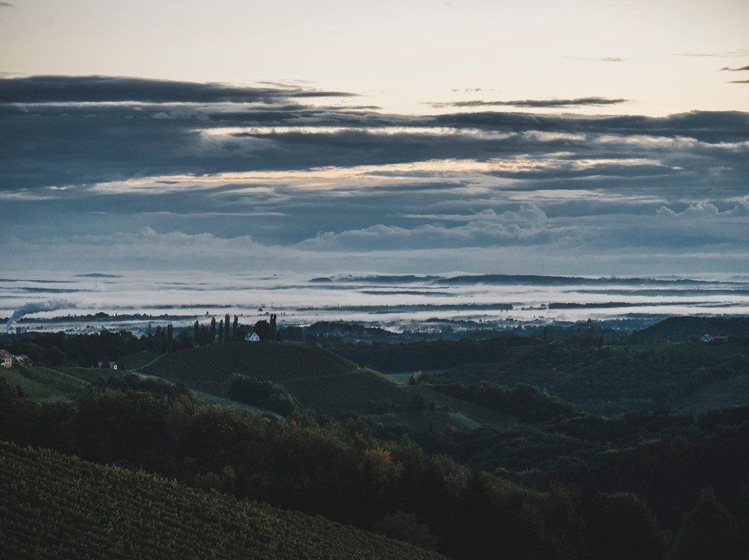 Weingut Lackner-Tinnacher-Gamlitz必去景点