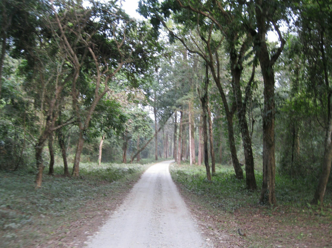 Jalpaiguri District旅游攻略图片