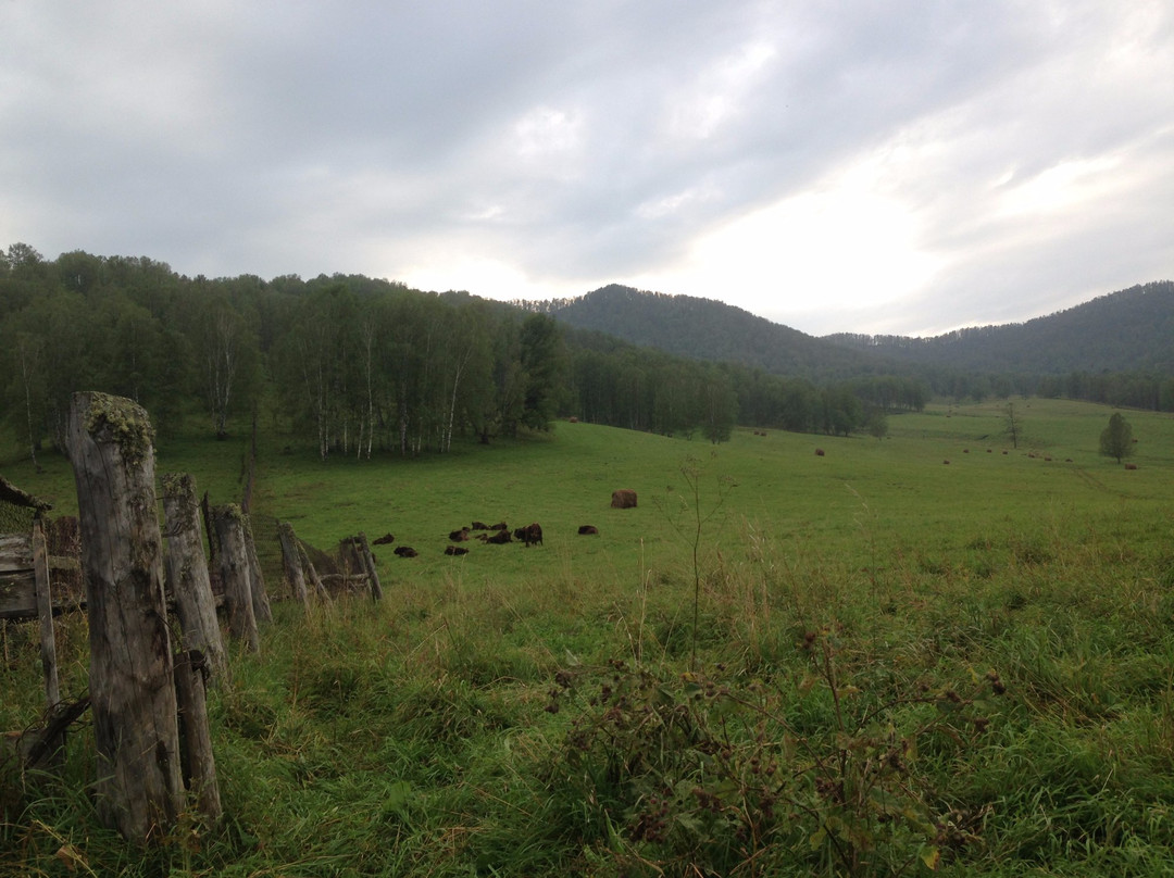Bison Sanctuary景点图片