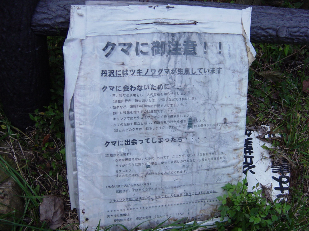 Johotsugan-ji Temple Okunoin景点图片
