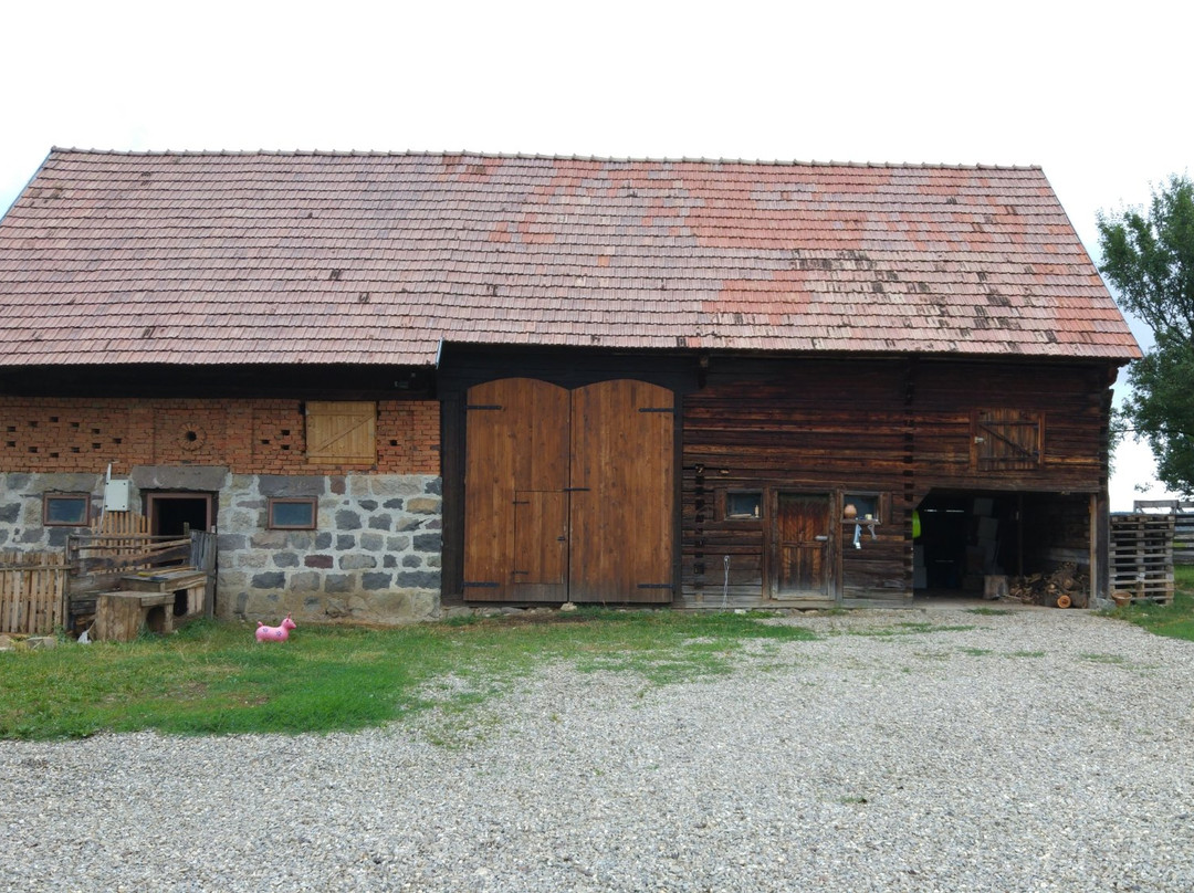 Barzava旅游攻略图片