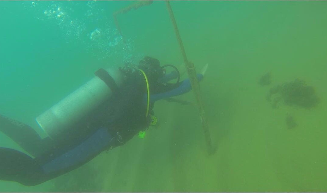 Magnetic Dive Day Course-Magnetic Island必去景点