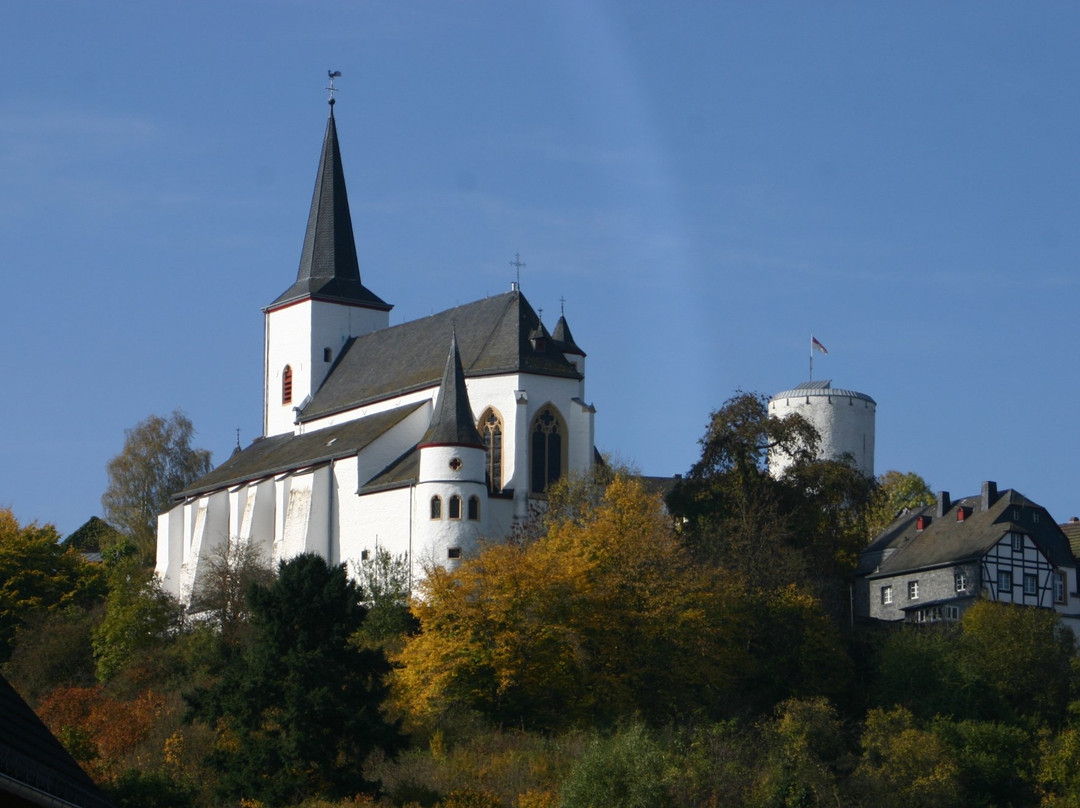Burg Reifferscheid景点图片