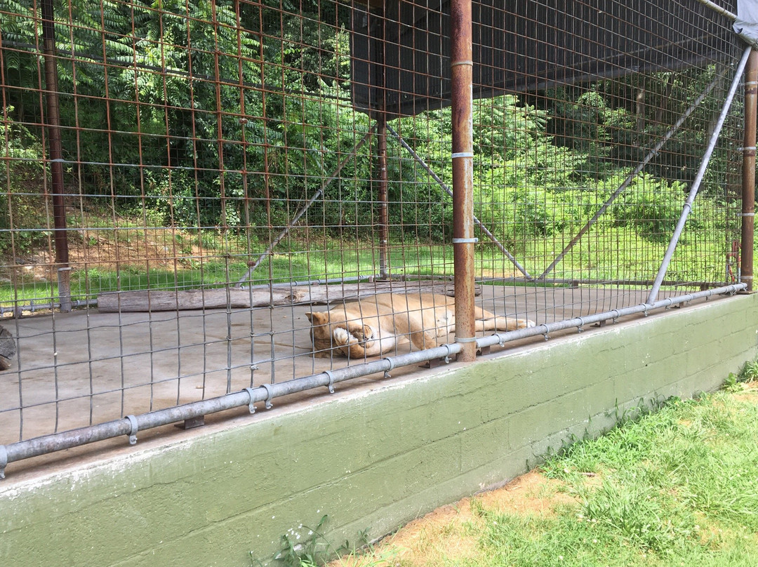 East Coast Exotic Animal Rescue-Fairfield必去景点