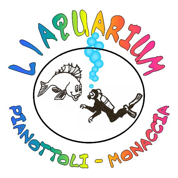 L'aquarium Plongee景点图片