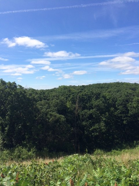 Sibley State Park-New London必去景点