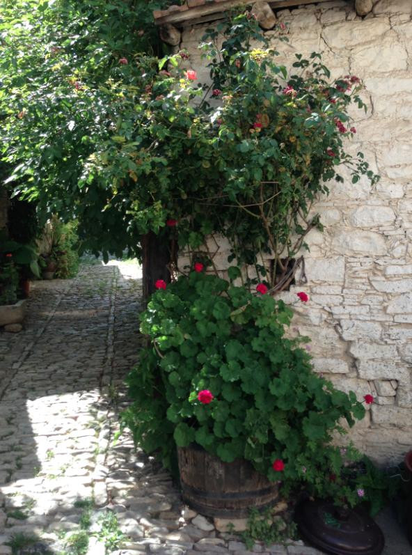 Guidedtours Cyprus - Tours景点图片