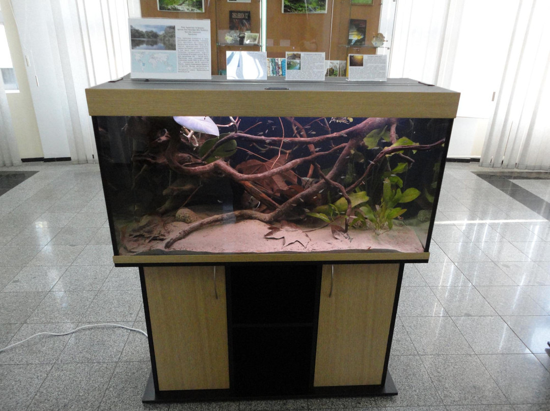 Scientific Museum-海参崴必去景点