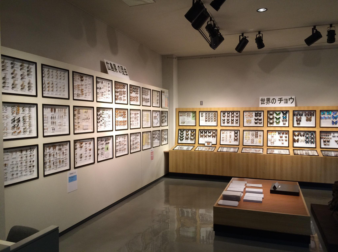 Hiwa Natural Science Museum-庄原市必去景点