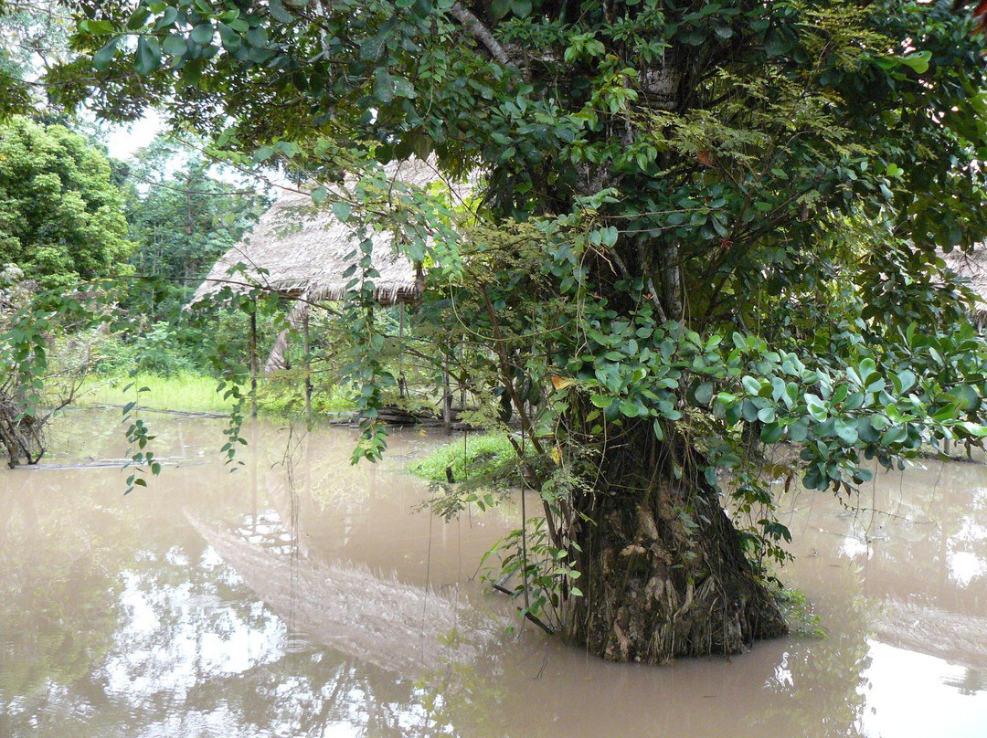 埃克斯普罗拉马山林小屋