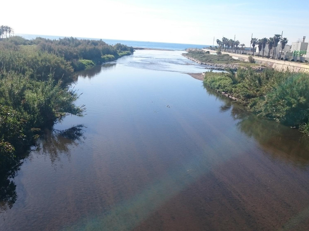 Parc Fluvial del Besos景点图片