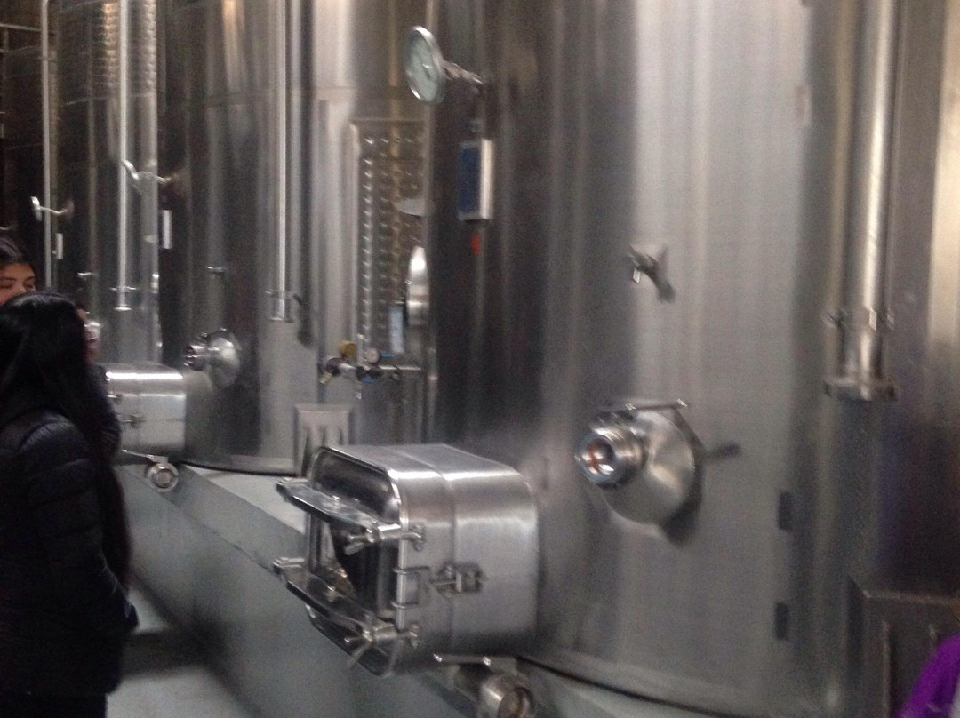 Viña Anakena-兰卡瓜必去景点