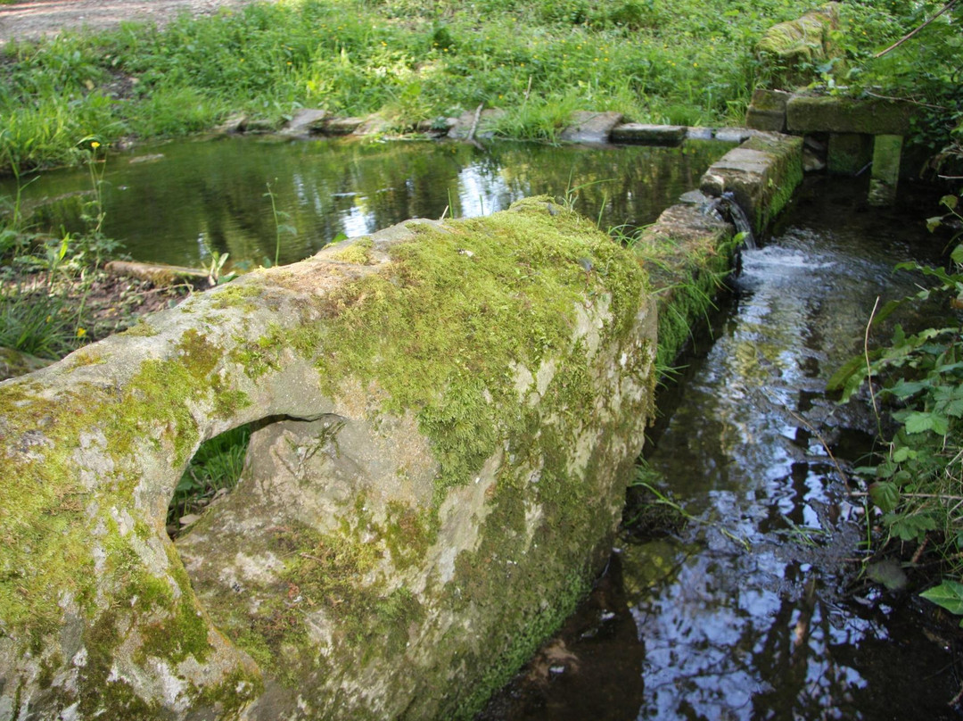 Saint-Cesaire旅游攻略图片