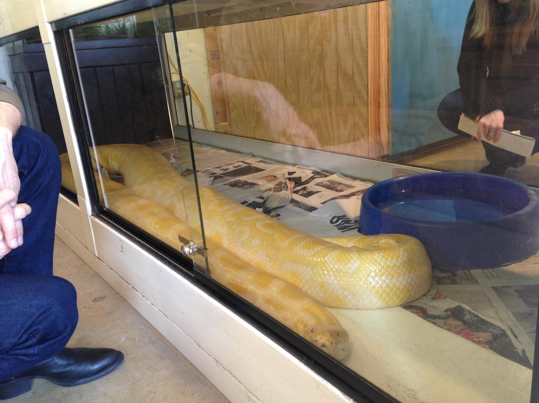 Wildlife Discovery Center-Lake Forest必去景点