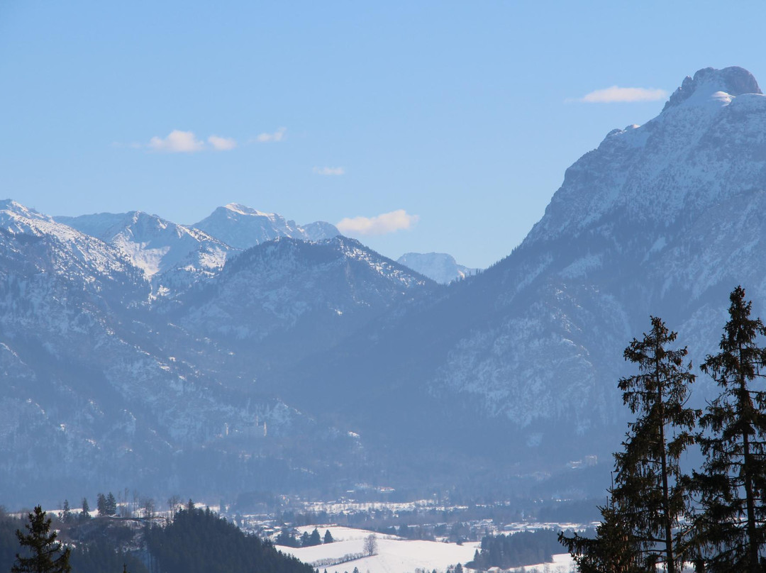 Alpe Beichelstein Erwin Kopf