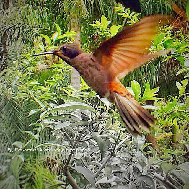 Jardines Ecologicos Topotepuy-巴鲁塔必去景点