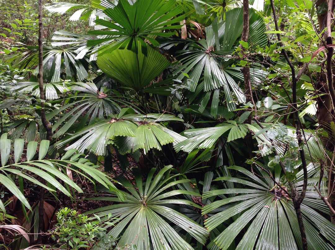 Tondoon Botanic Gardens-Gladstone必去景点