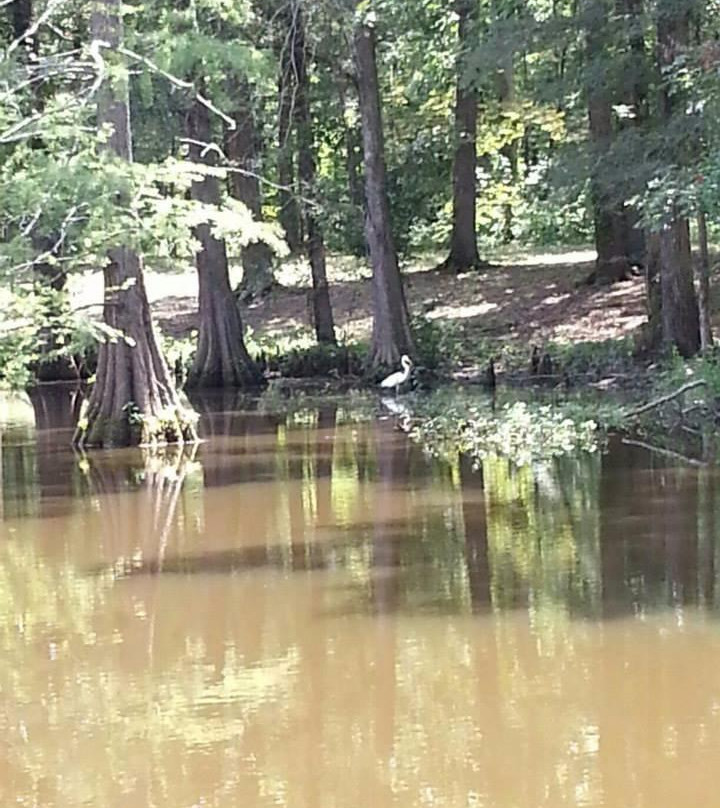 Chemin-A-Haut State Park-Bastrop必去景点
