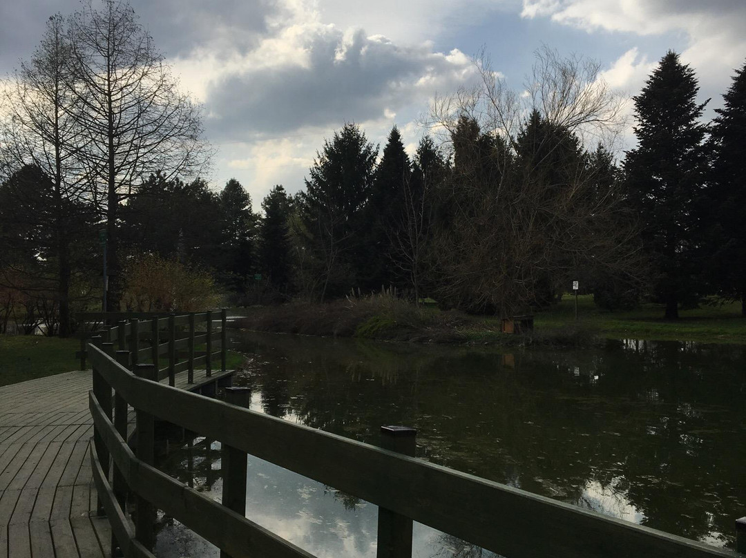 Parco Aldo Moro景点图片