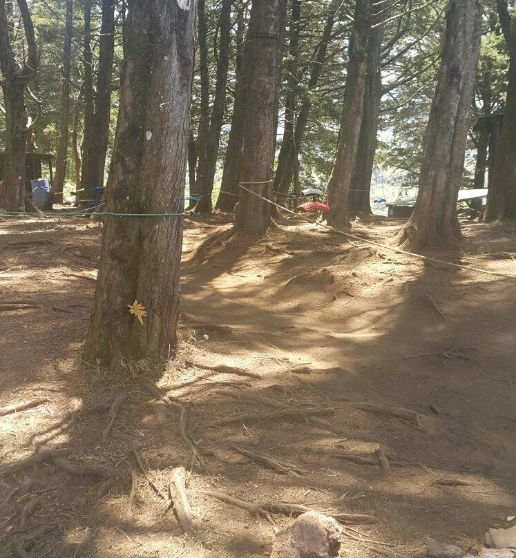 Bosques de Fraijanes景点图片