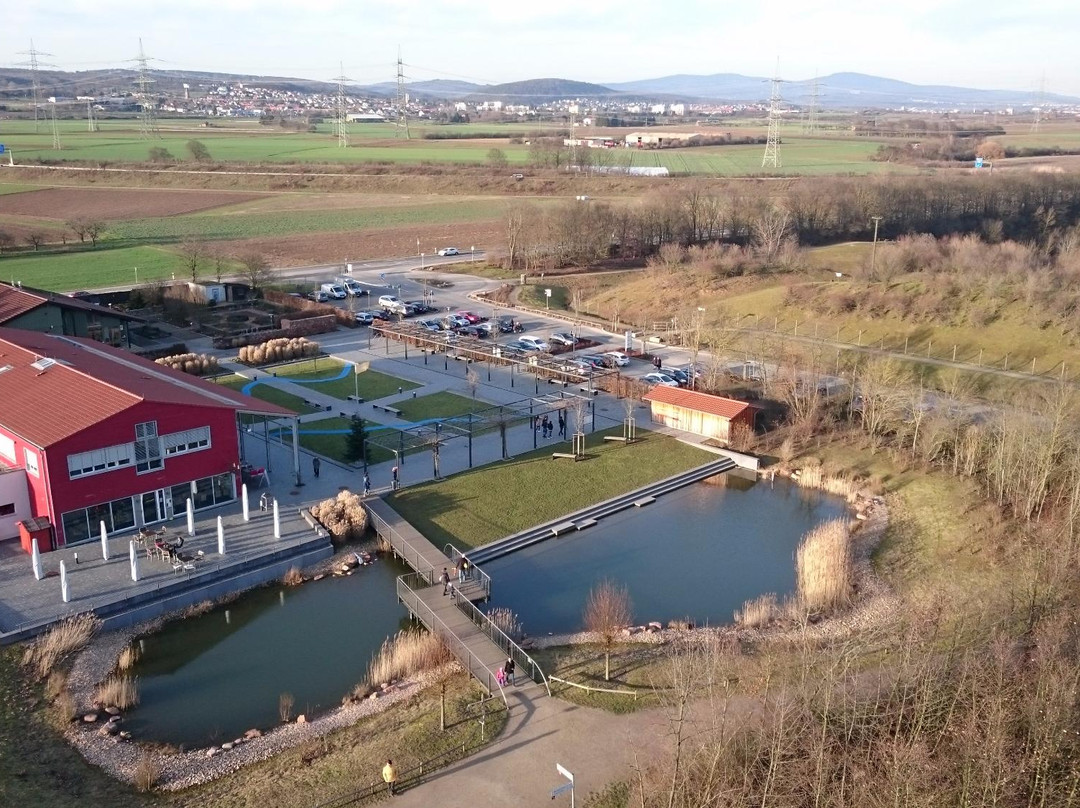 Weilbacher Kiesgruben-Florsheim必去景点