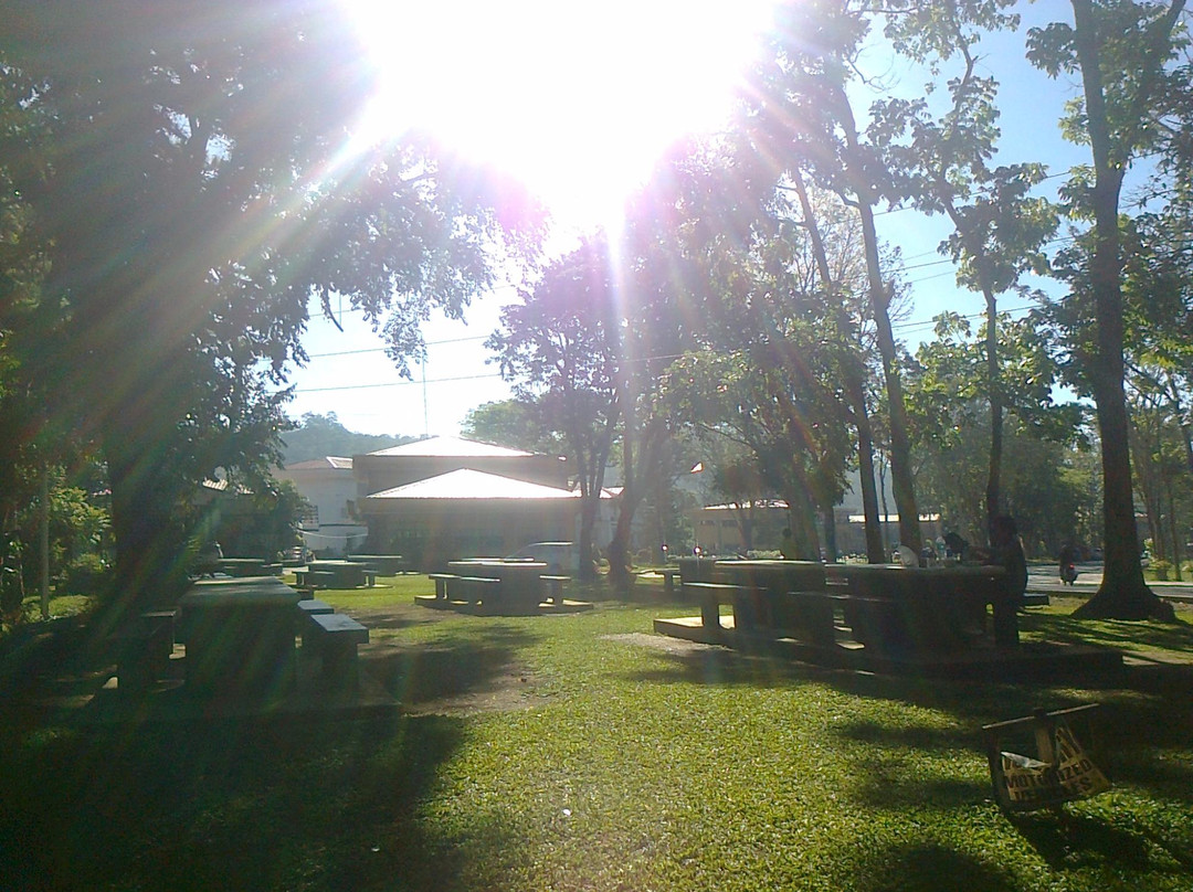 Kaamulan Park景点图片