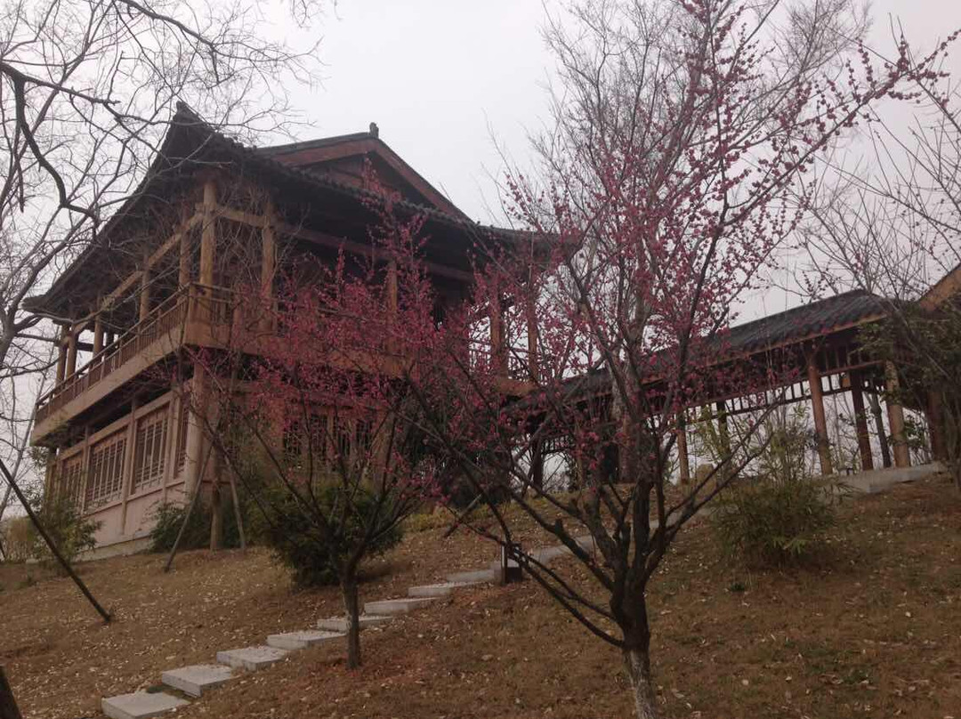 遗爱湖公园-黄冈市必去景点