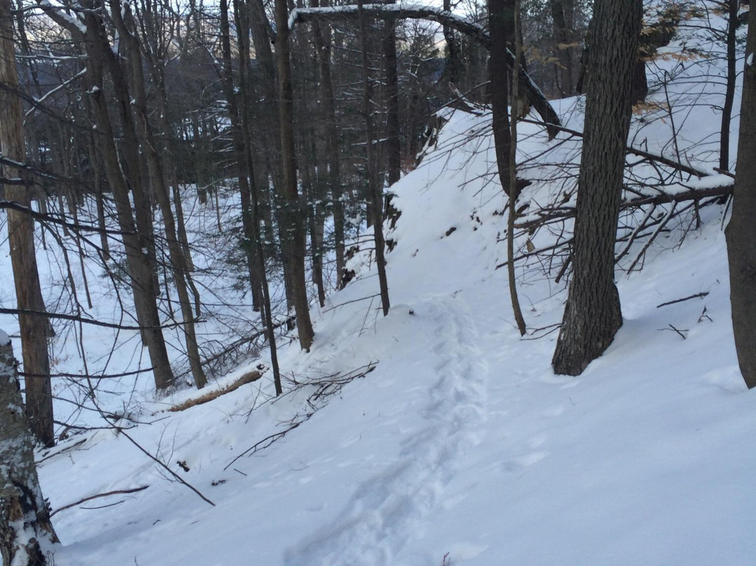 Metacomet-Monadnock Trail-艾姆赫斯特必去景点