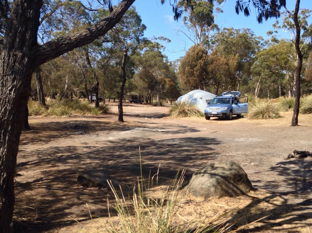 Lime Bay State Reserve-亚瑟港必去景点