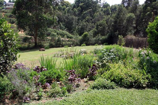 Hilton酒店住宿-Hilton Bed n Breakfast