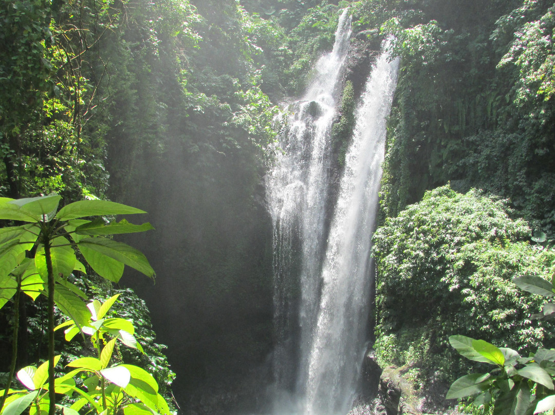 Lovina Bali Trans景点图片