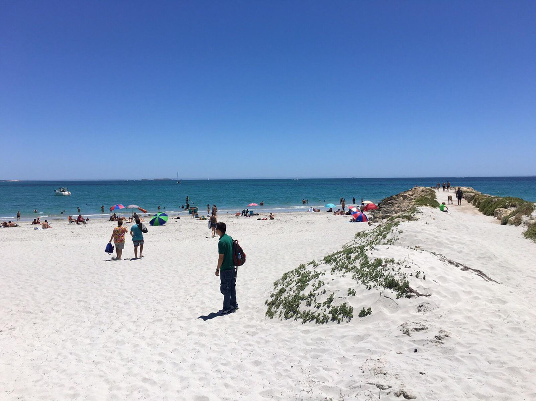 Port Beach-弗里曼特尔必去景点