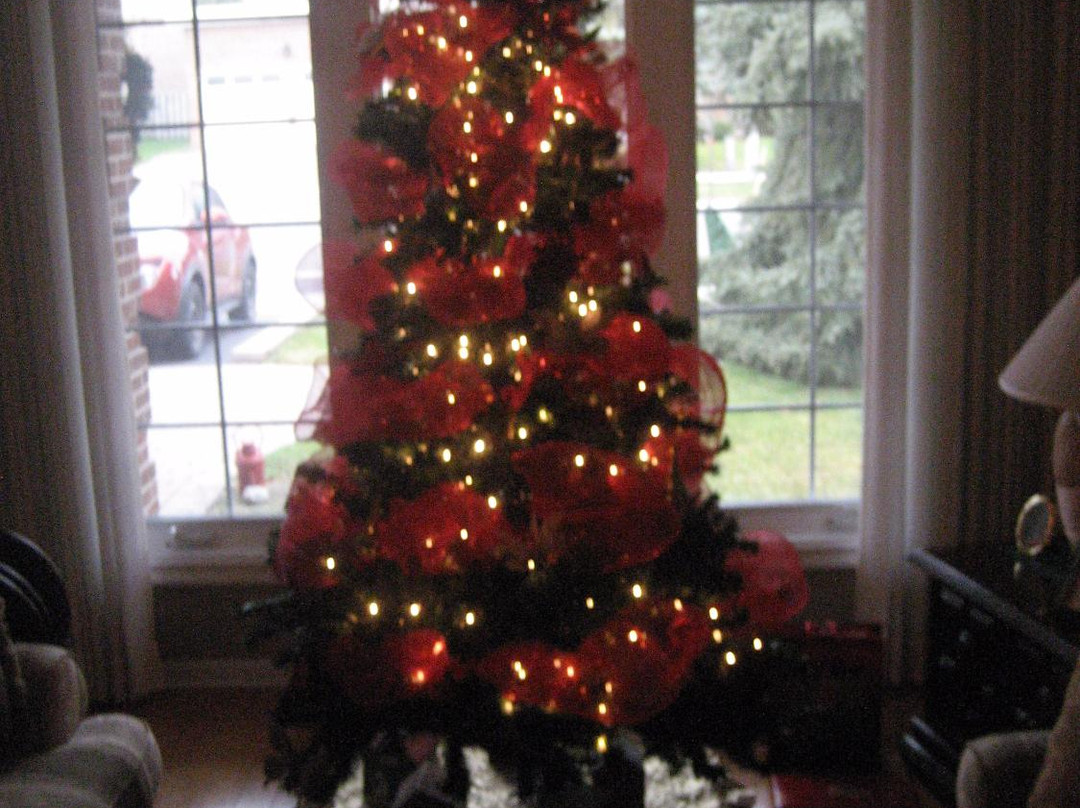 Wade's Place Bed & Breakfast主图