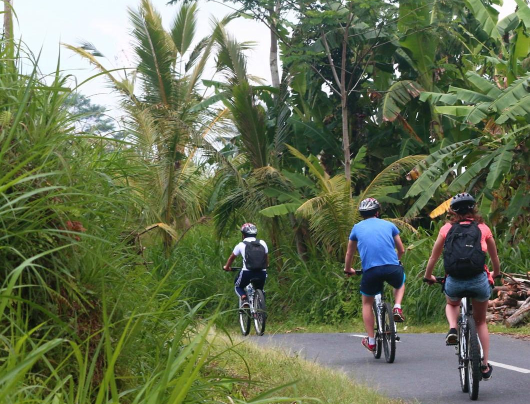 Bali Hidden Bike - Cycling Tour景点图片